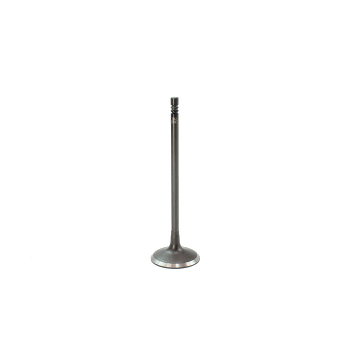 Intake Valve
