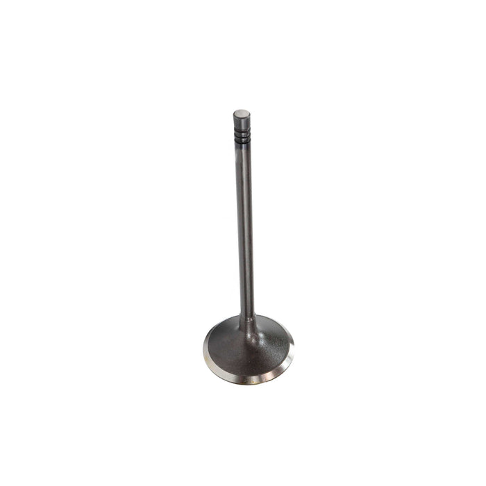 Intake Valve