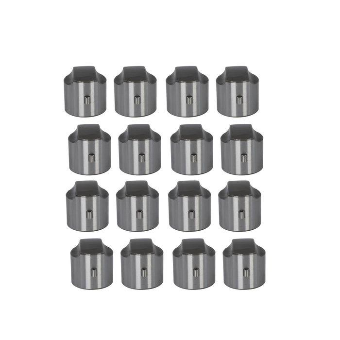 Set of 16 Lifters