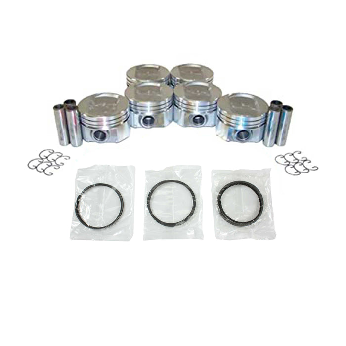 Piston Set w/ Rings