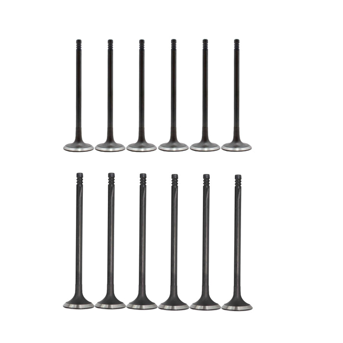 Exhaust / Intake Valve Kit
