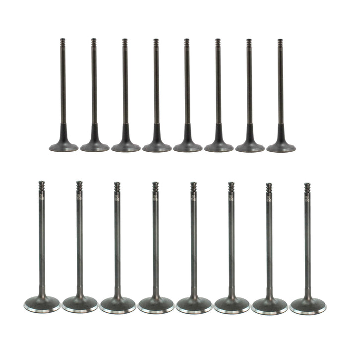 Exhaust / Intake Valve Kit