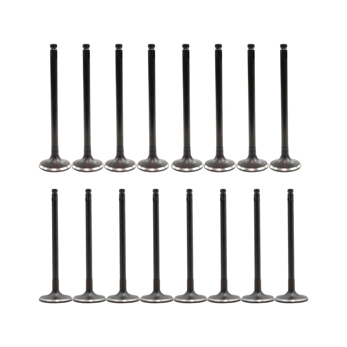 Exhaust / Intake Valve Kit