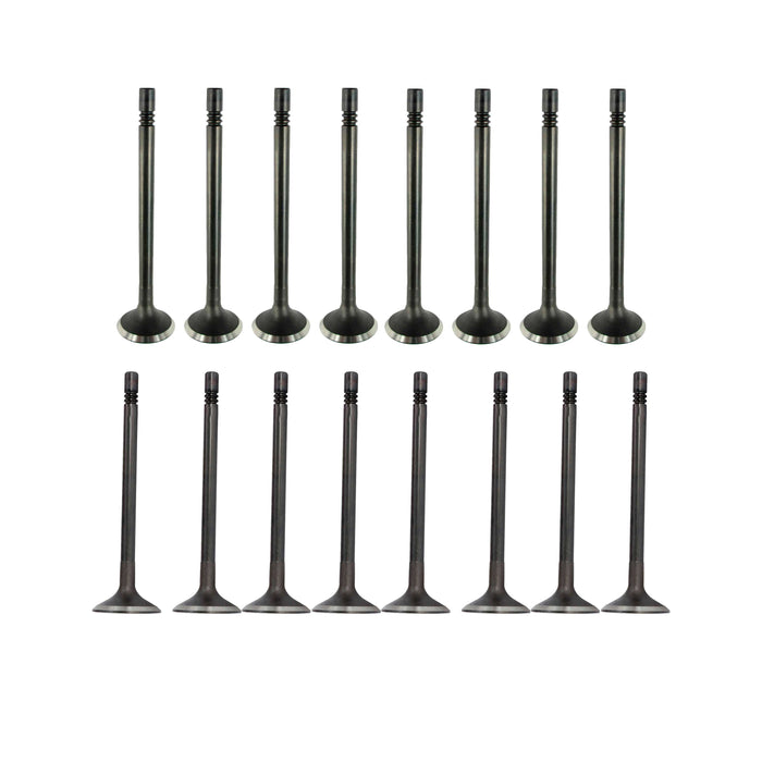 Exhaust / Intake Valve Kit