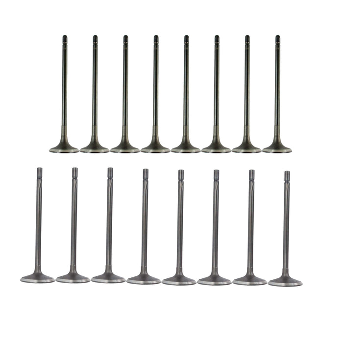 Exhaust / Intake Valve Kit