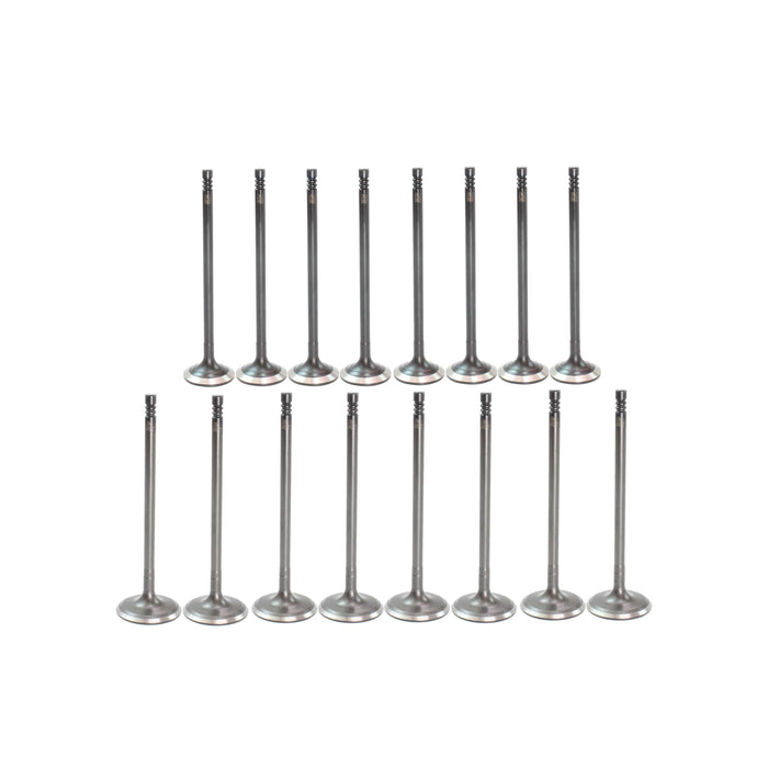 Exhaust / Intake Valve Kit