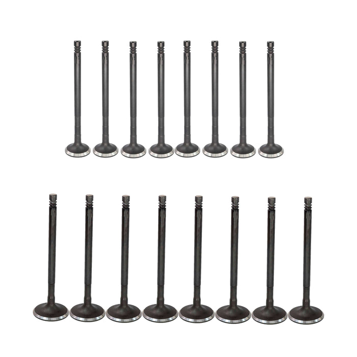 Exhaust / Intake Valve Kit