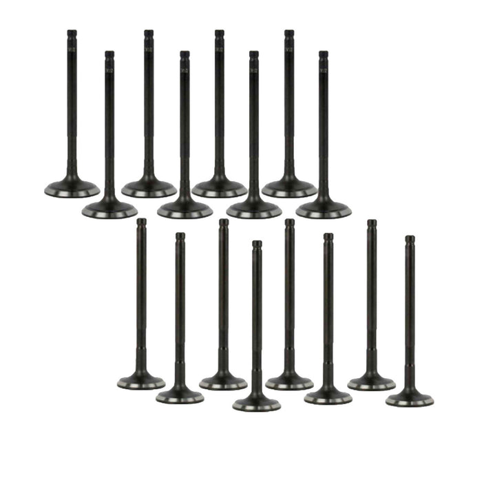 Exhaust / Intake Valve Kit