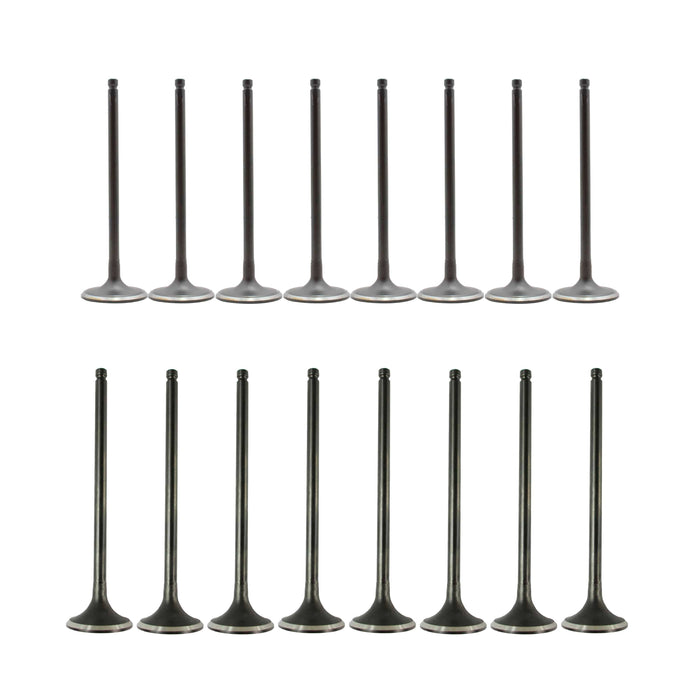 Exhaust / Intake Valve Kit