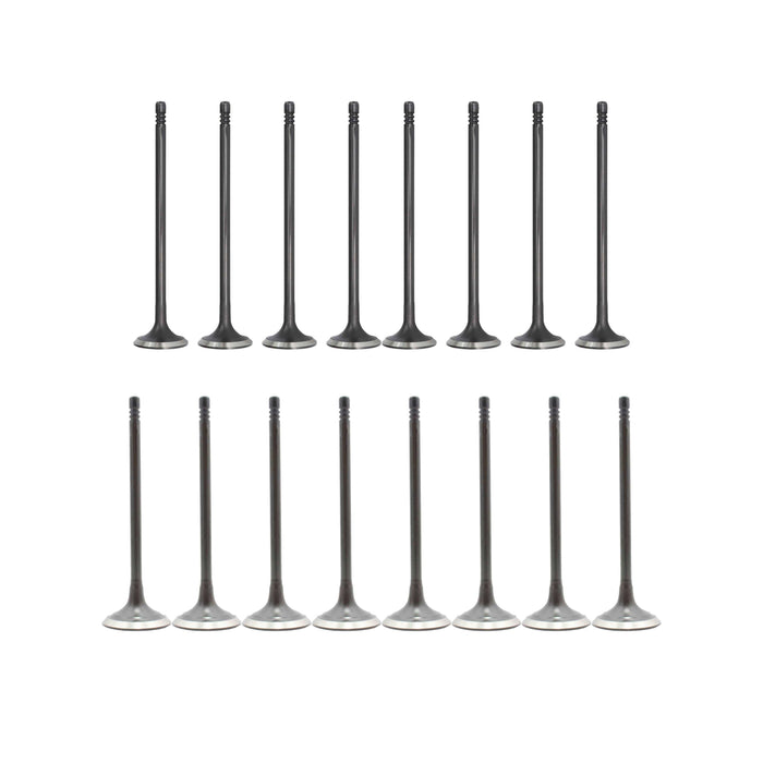 Exhaust / Intake Valve Kit