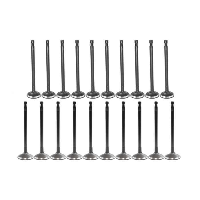 Exhaust / Intake Valve Kit