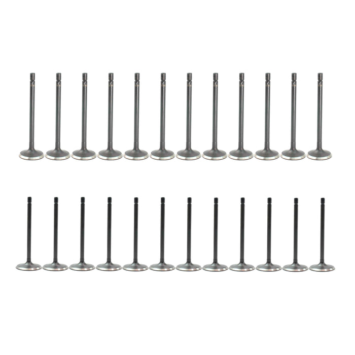 Exhaust / Intake Valve Kit