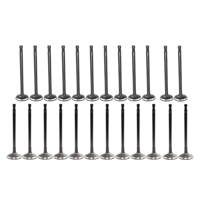 Exhaust / Intake Valve Kit