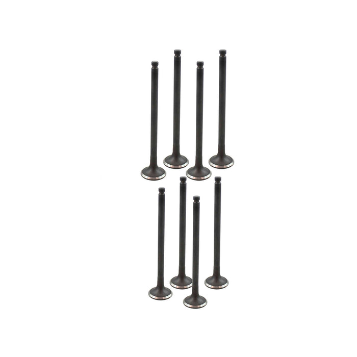 Exhaust / Intake Valve Kit