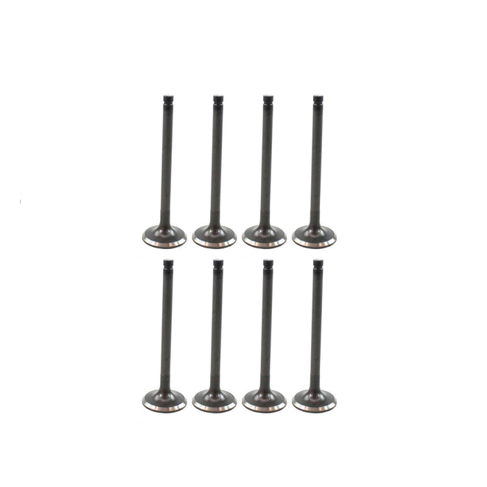 Exhaust / Intake Valve Kit