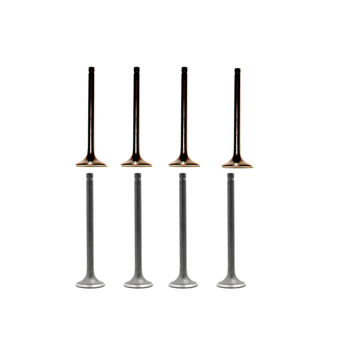 Exhaust / Intake Valve Kit