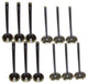 99-08 Ford Mazda Mercury 3.0L Intake and Exhaust Valve Set