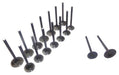 96-06 Suzuki Chevrolet 1.8L-2.7L Intake and Exhaust Valve Set