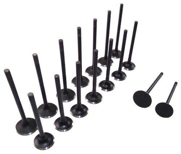 95-08 Suzuki Isuzu 2.0L-3.2L Intake and Exhaust Valve Set