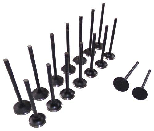 95-08 Suzuki Isuzu 2.0L-3.2L Intake and Exhaust Valve Set