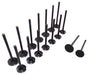 95-08 Suzuki Isuzu 2.0L-3.2L Intake and Exhaust Valve Set