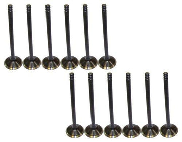 96-08 Ford Mercury 3.8L-4.2L Intake and Exhaust Valve Set