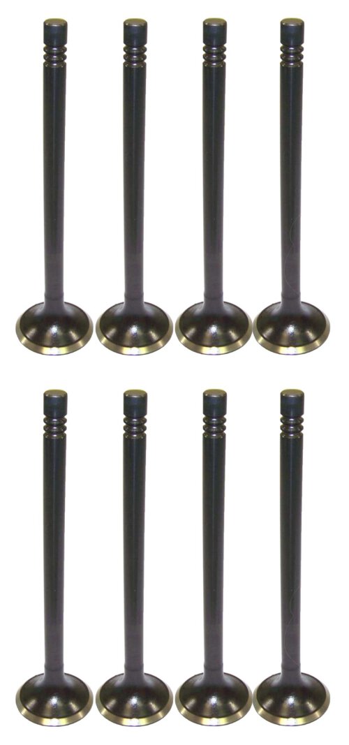 92-96 Ford Mercury 1.9L Intake and Exhaust Valve Set