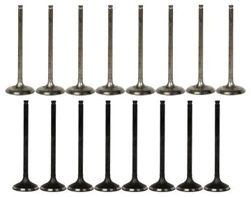 09-13 Suzuki 2.4L Intake and Exhaust Valve Set