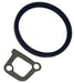 dnj crankshaft seal 1985-1993 chevrolet,geo,isuzu spectrum,i-mark,spectrum l4 1.5l,1.6l,1.8l rm303