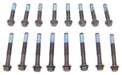 dnj cylinder head bolt set 1995-2009 buick,chevrolet,oldsmobile park avenue,riviera,camaro v6 3.8l hbk3143