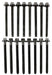 dnj cylinder head bolt set 2007-2015 ford,lincoln,mazda edge,mkx,mkz v6 3.5l,3.7l hbk4198
