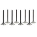 dnj exhaust / intake valve kit 1985-1996 dodge,hyundai,mitsubishi galant,galant,galant l4 2.4l vk8108