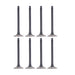 dnj exhaust / intake valve kit 1986-1994 mazda,mercury 323,323,tracer l4 1.6l vk8400