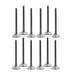 dnj exhaust / intake valve kit 1987-1994 buick,cadillac,chevrolet century,cimarron,beretta v6 2.8l,3.1l vk123130