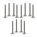 dnj exhaust / intake valve kit 1989-1997 nissan 240sx,240sx,axxess l4 2.4l vk12607
