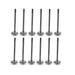dnj exhaust / intake valve kit 1990-1993 geo,isuzu storm,storm,stylus l4 1.6l vk12321