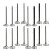 dnj exhaust / intake valve kit 1991-1998 nissan 240sx,240sx,240sx l4 2.4l vk16624