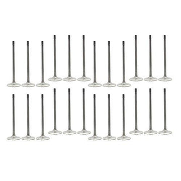 dnj exhaust / intake valve kit 1992-1994 nissan maxima,maxima,maxima v6 3.0l vk24619