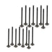 dnj exhaust / intake valve kit 1992-1995 kia,mazda mx-3,mx-3,sephia l4 1.6l vk16460
