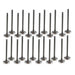 dnj exhaust / intake valve kit 1992-1997 acura,honda,isuzu trooper,rodeo,trooper v6 3.2l vk24350
