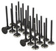 dnj exhaust / intake valve kit 1992-2004 lexus,toyota es300,camry,es300 v6 3.0l,3.4l vk24958