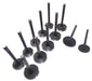 dnj exhaust / intake valve kit 1995-1998 audi a6,a6 quattro,cabriolet v6 2.8l vk12808