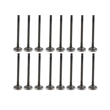 dnj exhaust / intake valve kit 1995-1998 mazda protege,protege,protege l4 1.5l vk16433