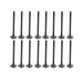 dnj exhaust / intake valve kit 1995-1998 mazda protege,protege,protege l4 1.5l vk16433