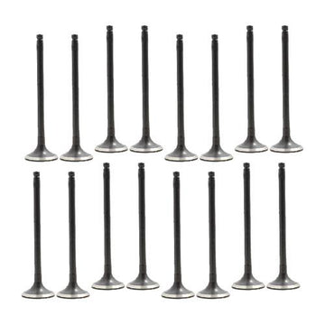 dnj exhaust / intake valve kit 1995-2006 nissan 200sx,sentra,200sx l4 1.6l,1.8l vk16641