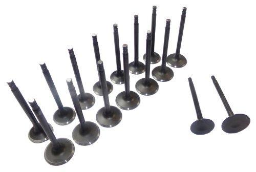 dnj exhaust / intake valve kit 1998-2004 nissan altima,frontier,altima l4 2.4l vk16624a
