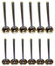 dnj exhaust / intake valve kit 1998-2009 buick,chevrolet,oldsmobile venture,silhouette,trans sport v6 3.1l,3.4l vk123117