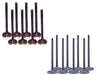 dnj exhaust / intake valve kit 1999-2002 saturn sc2,sl2,sw2 l4 1.9l vk16312