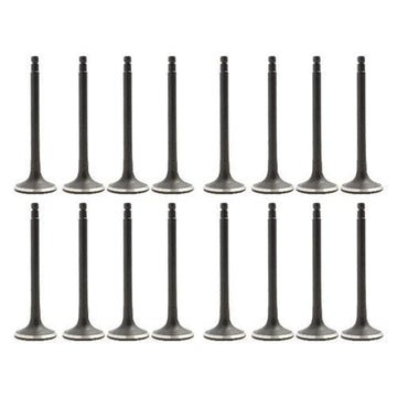 dnj exhaust / intake valve kit 2000-2001 nissan altima,altima l4 2.4l vk16625
