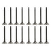 dnj exhaust / intake valve kit 2000-2001 nissan altima,altima l4 2.4l vk16625